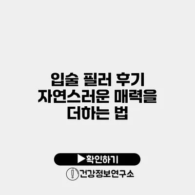 입술 필러 후기 자연스러운 매력을 더하는 법