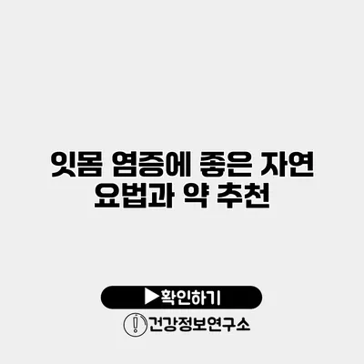 잇몸 염증에 좋은 자연 요법과 약 추천