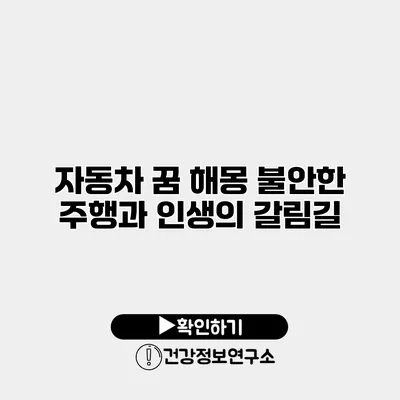 자동차 꿈 해몽 불안한 주행과 인생의 갈림길