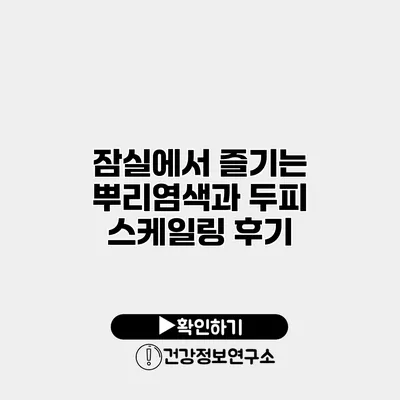 잠실에서 즐기는 뿌리염색과 두피 스케일링 후기