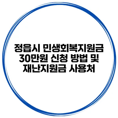 정읍시 민생회복지원금 30만원 신청 방법 및 재난지원금 사용처