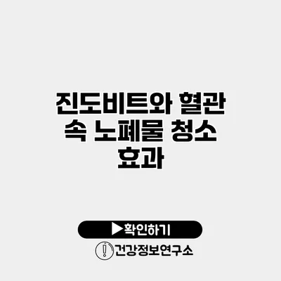 진도비트와 혈관 속 노폐물 청소 효과