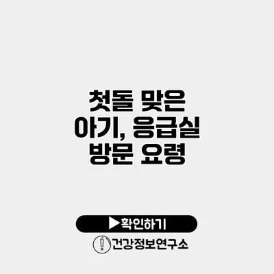 첫돌 맞은 아기, 응급실 방문 요령