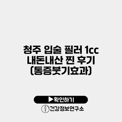 청주 입술 필러 1cc 내돈내산 찐 후기 (통증/붓기/효과)