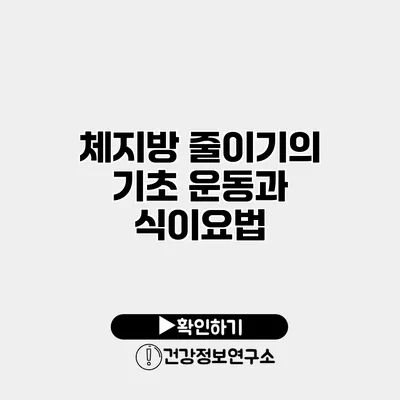 체지방 줄이기의 기초 운동과 식이요법