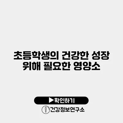 초등학생의 건강한 성장 위해 필요한 영양소