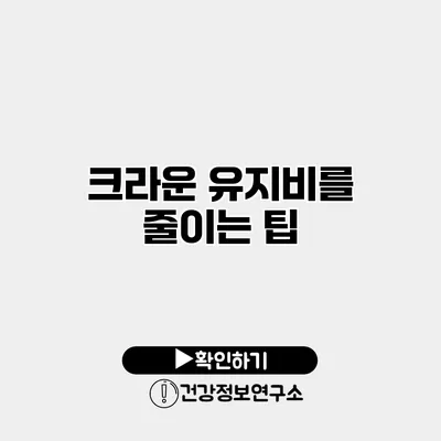 크라운 유지비를 줄이는 팁