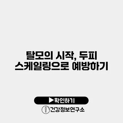 탈모의 시작, 두피 스케일링으로 예방하기