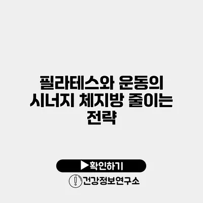 필라테스와 운동의 시너지 체지방 줄이는 전략