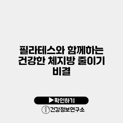 필라테스와 함께하는 건강한 체지방 줄이기 비결