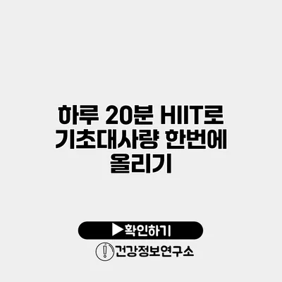 하루 20분 HIIT로 기초대사량 한번에 올리기