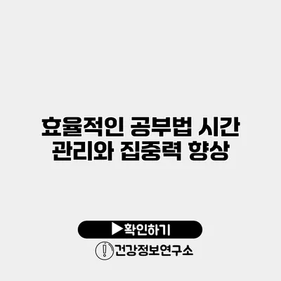 효율적인 공부법 시간 관리와 집중력 향상