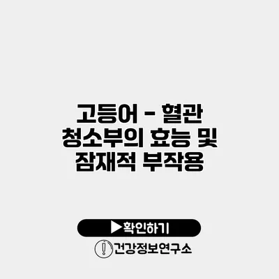 고등어 - 혈관 청소부의 효능 및 잠재적 부작용