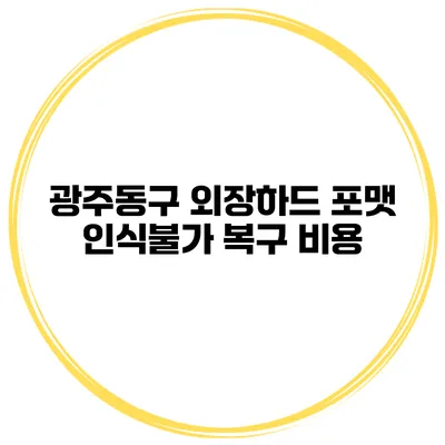 광주동구 외장하드 포맷 인식불가 복구 비용