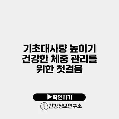기초대사량 높이기 건강한 체중 관리를 위한 첫걸음