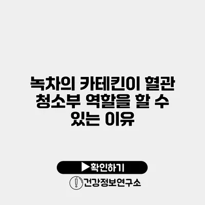 녹차의 카테킨이 혈관 청소부 역할을 할 수 있는 이유