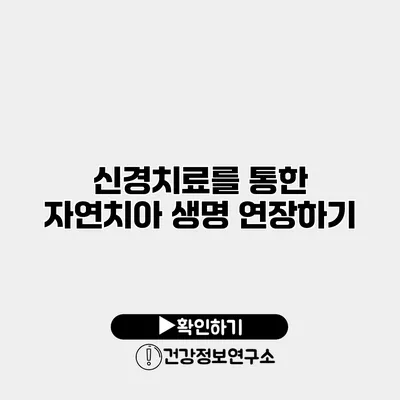 신경치료를 통한 자연치아 생명 연장하기