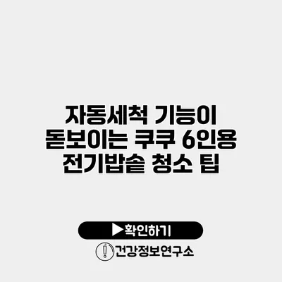 자동세척 기능이 돋보이는 쿠쿠 6인용 전기밥솥 청소 팁