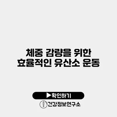 체중 감량을 위한 효율적인 유산소 운동
