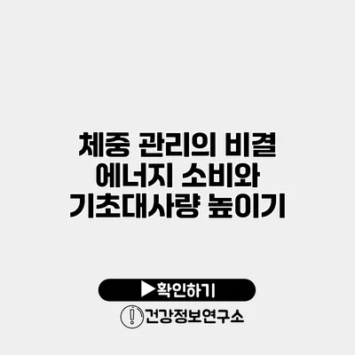 체중 관리의 비결 에너지 소비와 기초대사량 높이기