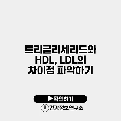 트리글리세리드와 HDL, LDL의 차이점 파악하기