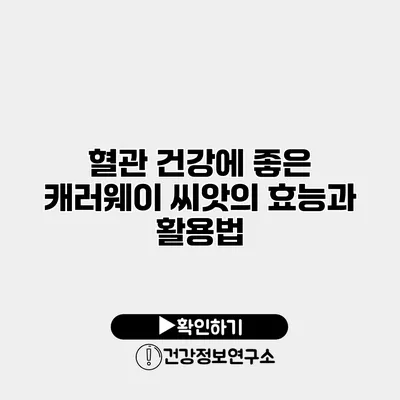 혈관 건강에 좋은 캐러웨이 씨앗의 효능과 활용법