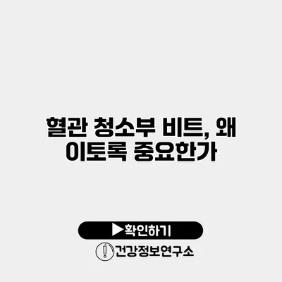 혈관 청소부 비트, 왜 이토록 중요한가?