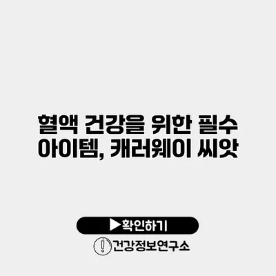 혈액 건강을 위한 필수 아이템, 캐러웨이 씨앗