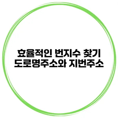 효율적인 번지수 찾기 도로명주소와 지번주소